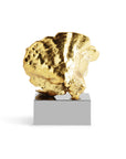 Michael Aram Cup Coral Sculpture