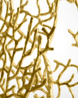 Michael Aram Fan Coral Gold (Limited Edition of 500)