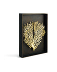 Michael Aram Fan Coral Shadow Box