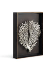 Michael Aram Fan Coral Shadow Box