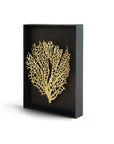 Michael Aram Fan Coral Shadow Box