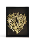 Michael Aram Fan Coral Shadow Box