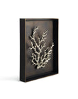 Michael Aram Ocean Coral Shadow Box