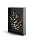 Michael Aram Ocean Coral Shadow Box