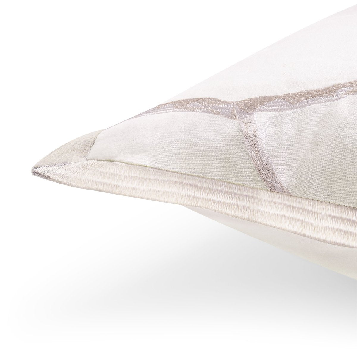 Michael Aram Butterfly Gingko Gold Standard Sham
