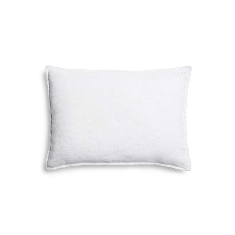 Michael Aram Butterfly Ginkgo Ombre Embroidered Dec Pillow Sky and Crème