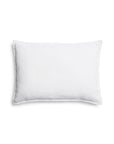 Michael Aram Butterfly Ginkgo Ombre Embroidered Dec Pillow Sky and Crème