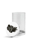 Michael Aram Black Orchid Canister