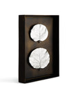 Michael Aram Botanical Leaf Shadow Box