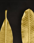 Michael Aram Champa Leaf Shadow Box