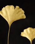 Michael Aram Ginkgo Leaf Shadow Box