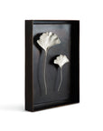 Michael Aram Ginkgo Leaf Shadow Box