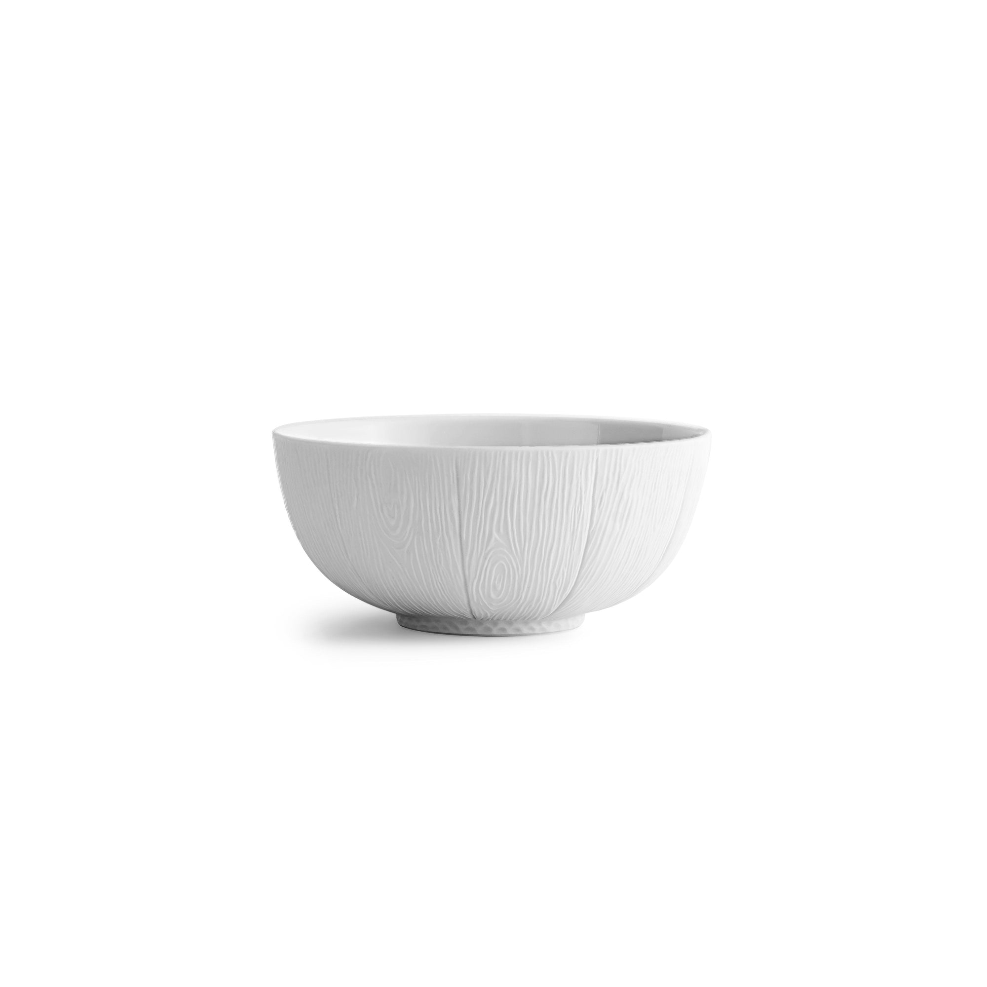 Michael Aram Ivy & Oak Dinnerware