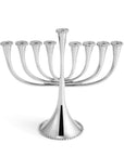 Michael Aram Molten Menorah