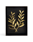 Michael Aram Olive Branch Shadow Box