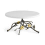 Michael Aram Pomegranate Cakestand