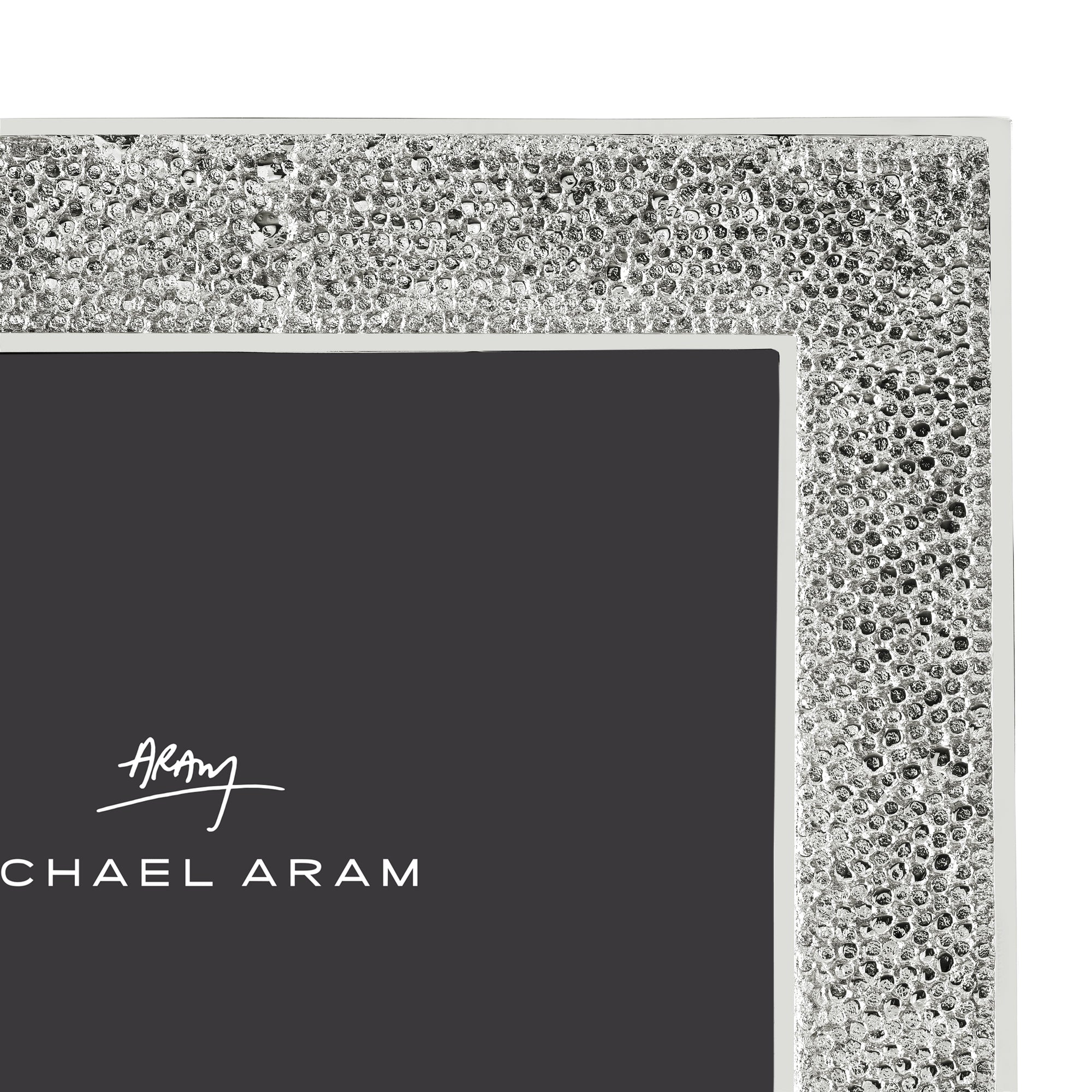 Michael Aram Shagreen Frame