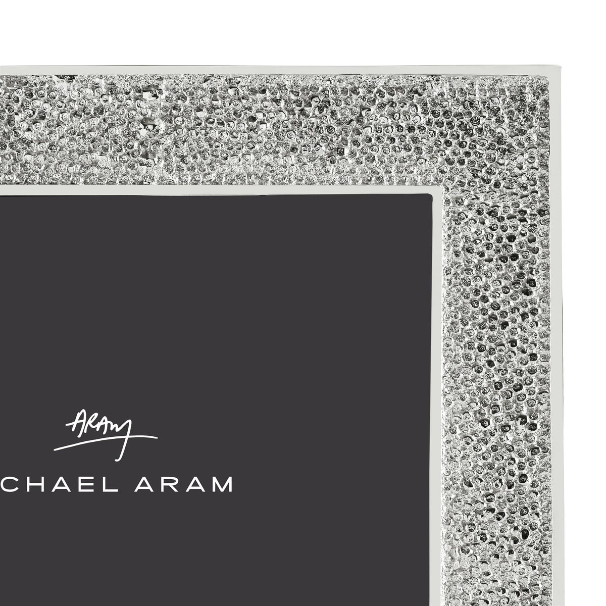Michael Aram Shagreen Frame