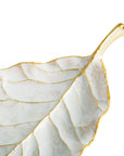 Michael Aram Winter Leaves Magnolia Dish